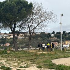 Punto di vista panoramico