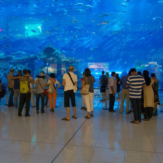 دبي أكواريوم وحديقة الحيوانات المائية