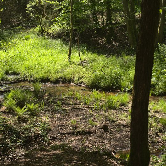 Saarhölzbachtal - Zunkelsbruch