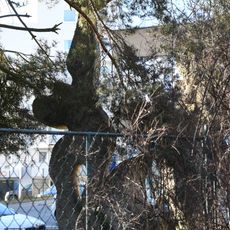 Světlo pro lidstvo / Energie ve službách míru