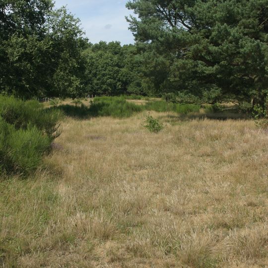 Sandtrockenrasen am Biener Busch