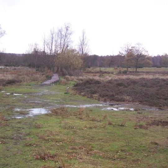 Hothfield Common