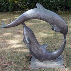 Two dolphins
