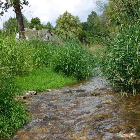 Luční potok v Podkrkonoší