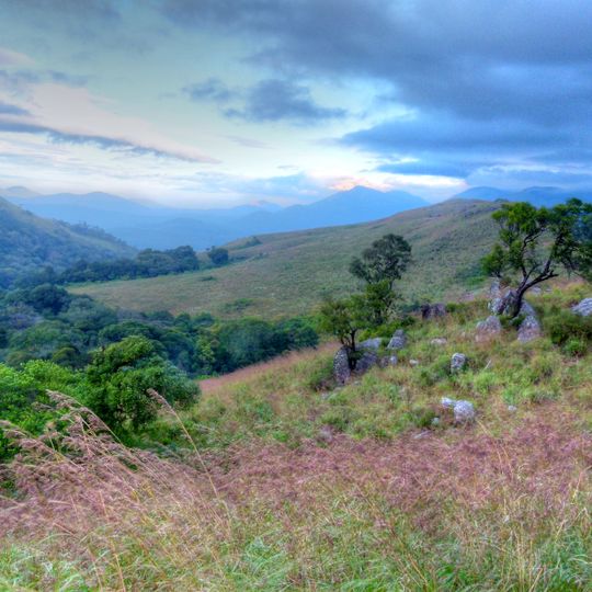 Deccan thorn scrub forests