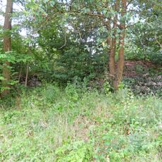 Pieve di San Vittore