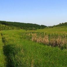 Vasylivka Protected Tract
