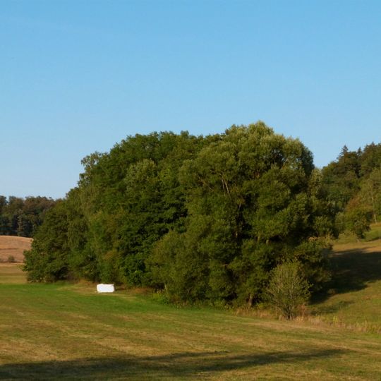 Gehölzbestandener Teil des Reiglersbaches bei Oßhalden