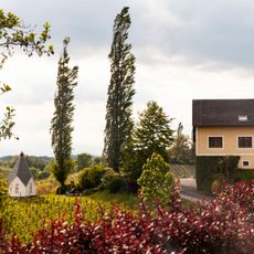 Weingut Muster.Gamlitz