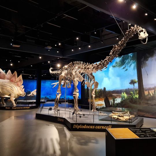 Dinosauria Museum Prague