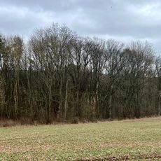 Über dem Rabenbrunnen