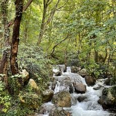 Botanical Garden at the Sorgenti del Cavuto