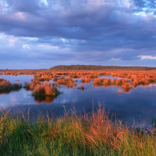 Big Branch Marsh National Wildlife Refuge