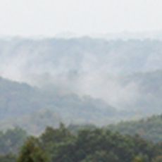 Wayne National Forest