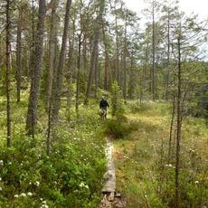 Norra Kvill National Park