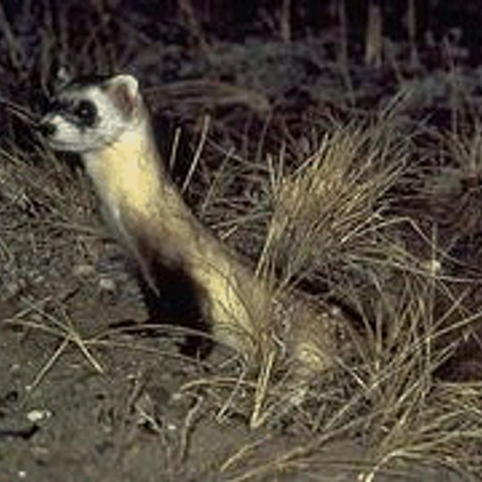 UL Bend National Wildlife Refuge
