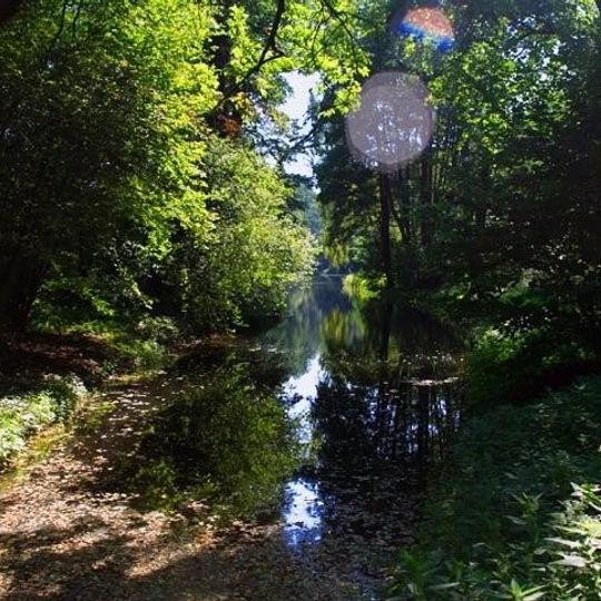 Rezerwat przyrody Las Natoliński