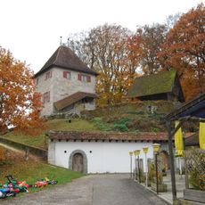 Buchegg Castle