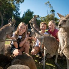 Symbio Wildlife Park