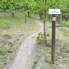 Cesta Jaroslava Krejčího