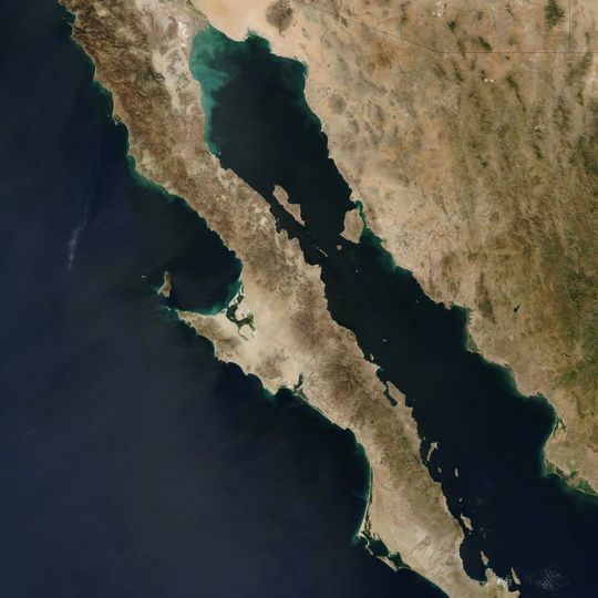 Gulf of California