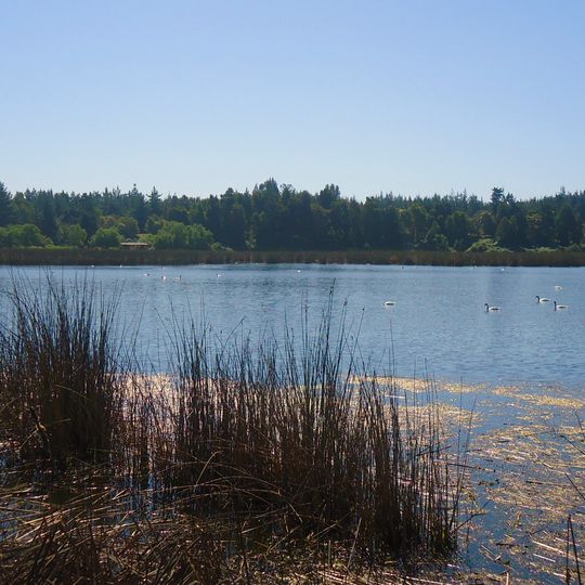 Reserva nacional Laguna Torca