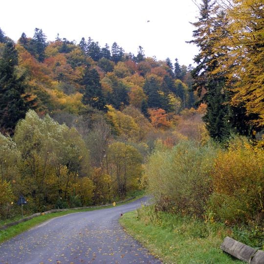 Jaśliski Park Krajobrazowy
