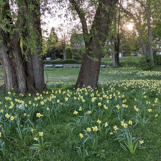 Fördeblick Park an der Kiellinie B1