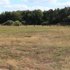Untere Allerniederung bei Boye