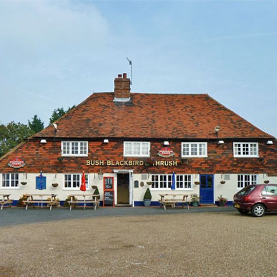 The Bush Blackbird And Thrush Public House
