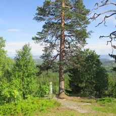 Bærumsmarka