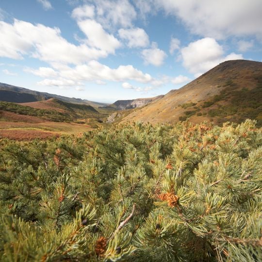Klyuchevskoy nature park