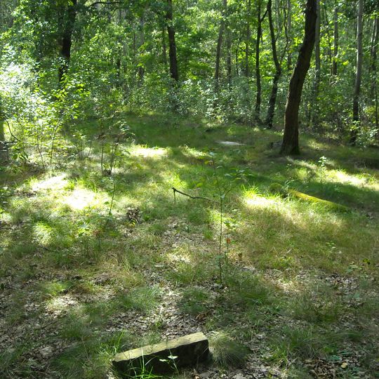 Cmentarz żydowski w Okuniewie