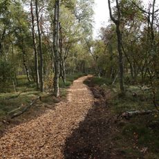 Grenzwiesen Fürstenau und Fürstenwalde