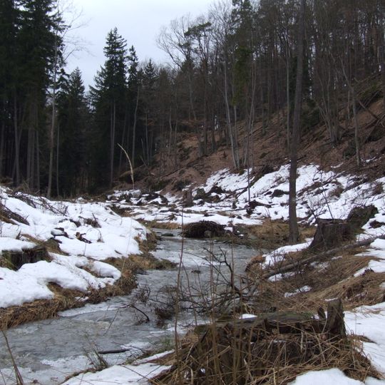 Rezerwat przyrody Wąwóz Siedmicki