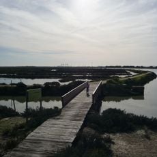 Sendero del Pinar de la Algaida