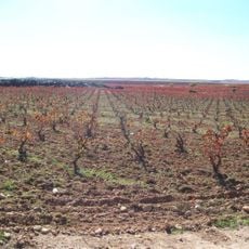 Utiel-Requena