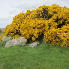 Wedge Tomb von Carrig