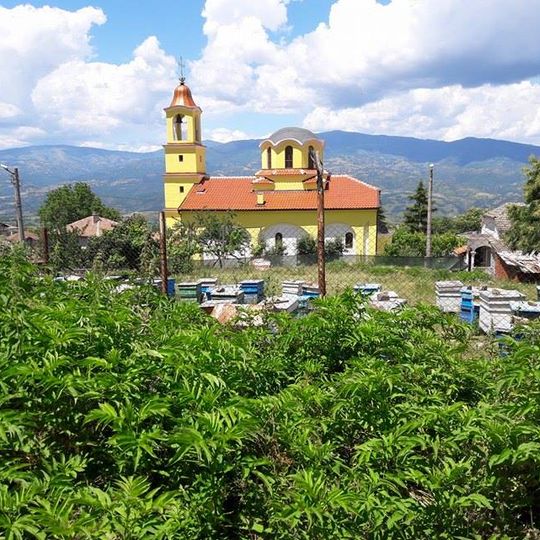 Saint Demetrius Church