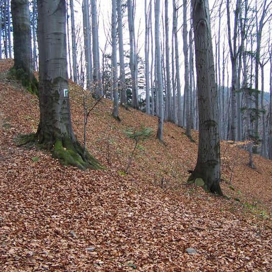 Nature reserve Kostrza