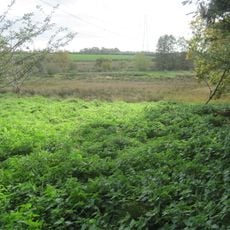 Misterton Marshes