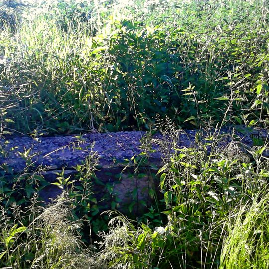 Cmentarz żydowski w Sarnakach