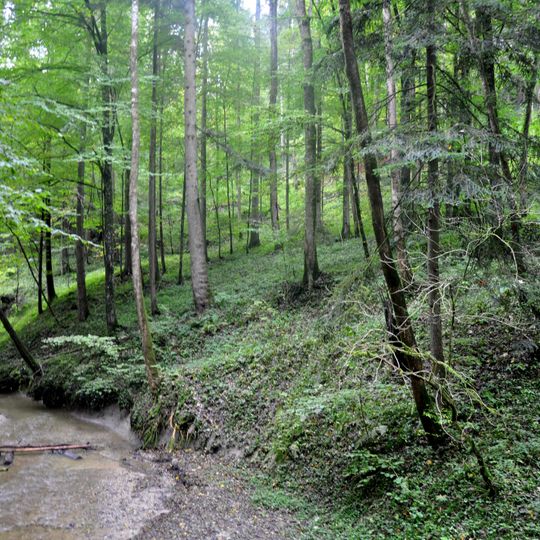 Schmalegger und Rinkenburger Tobel