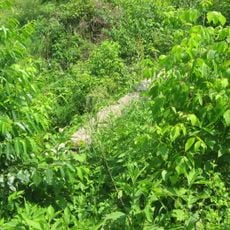 Burnett's Creek Arch