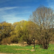Meandry Chvalšinského potoka