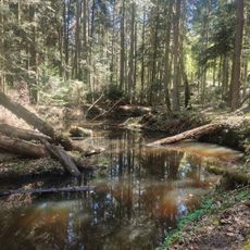 Sieradowice Landscape Park