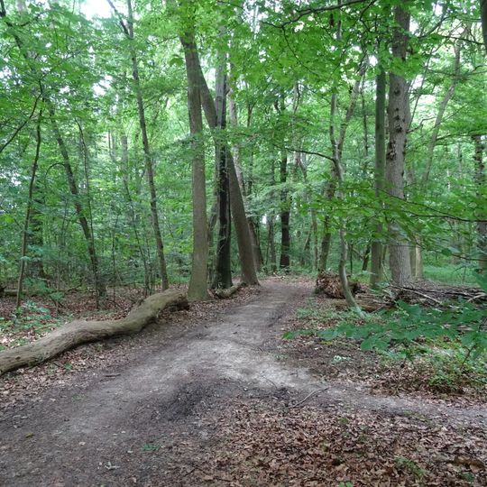 Ahrberger Holz/Groß Förster Holz