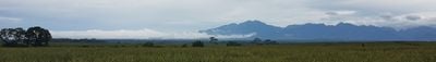 Panoramic View 1