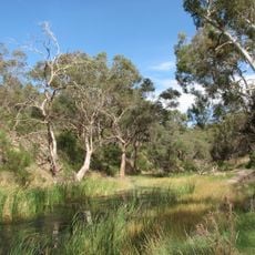 Long Forest Nature Conservation Reserve