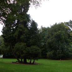 Randenbroek, parkaanleg